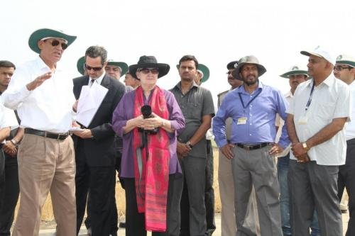 IMG_4778 - Copy Large